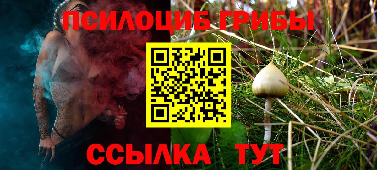 Галлюциногенные грибы мицелий Стрежевой